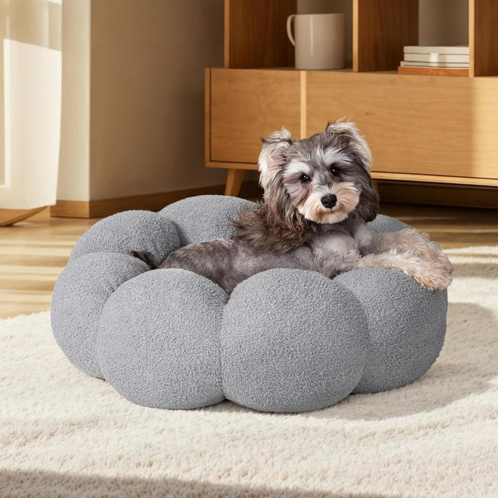 Rest in Style: The Importance of a Good Pet Bed
