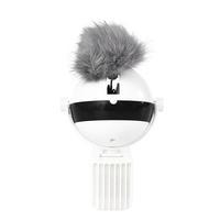 Pet Electronic Motion Cat Toy