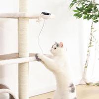 Pet Electronic Motion Cat Toy