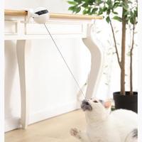 Pet Electronic Motion Cat Toy
