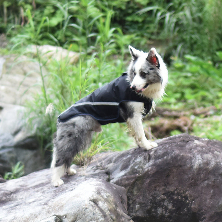 Pet Raincoat For Dogs