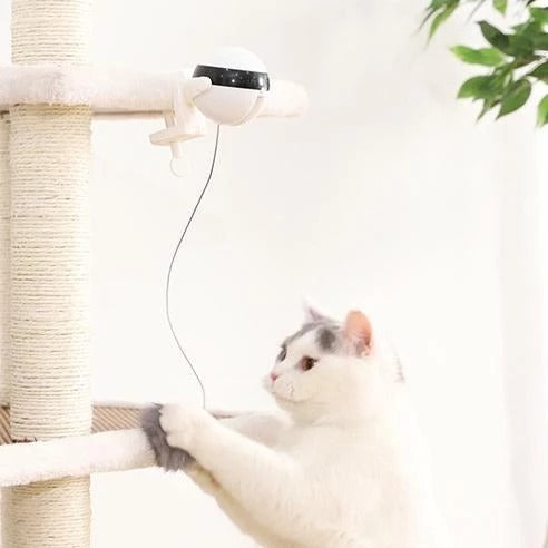 Pet Electronic Motion Cat Toy