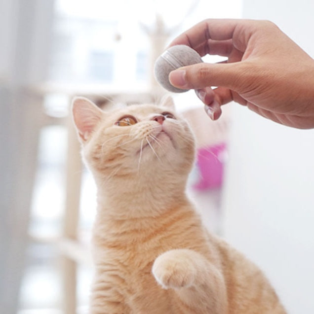Intelligent Tickle Cat Toy